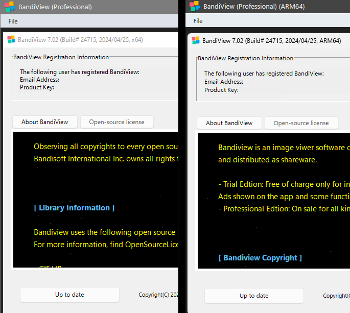 BandiView x64 / ARM64.
